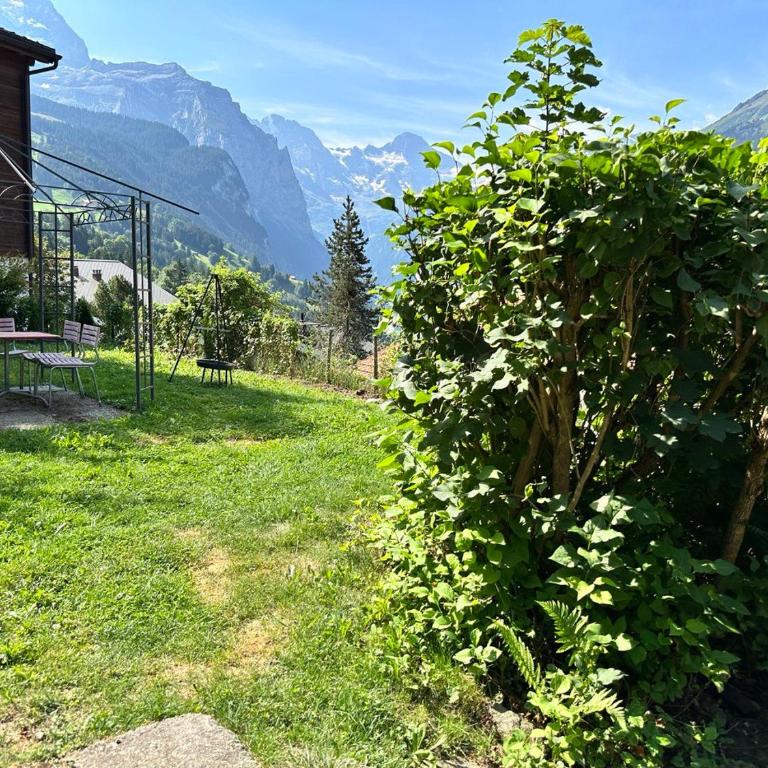 Chalet Luegistal - Apartment mit 2 Schlafzimmern - 5