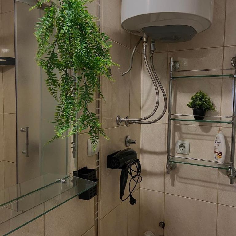 Bella Vista - Apartman sa 1 Spavaćom Sobom - 26