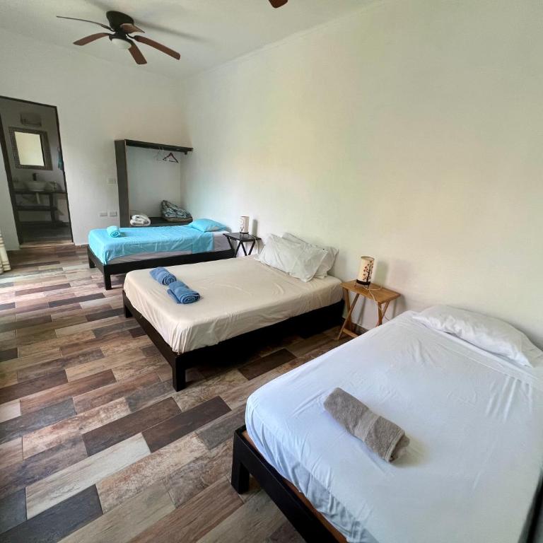 Cancun-Soho - Quadruple Room with Balcony and view to the garden and pool - 7