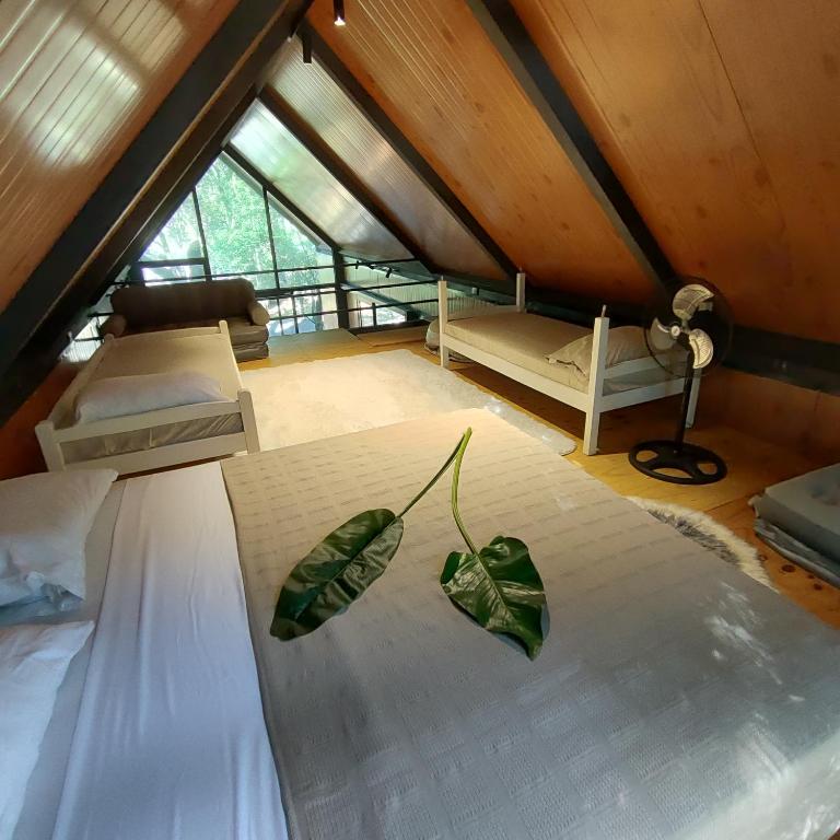 Tokai Surubi'i - Casa con 1 dormitorio - 4
