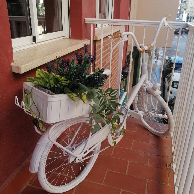 Bonito piso en Dénia - Apartamento de 3 dormitorios - 7