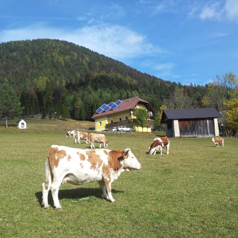 Bauernchalet Orainza - Apartment mit 1 Schlafzimmer - 7