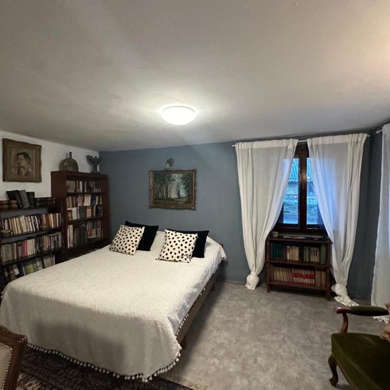 Apartment - Garden view & Art Gallery - Apartman sa 1 Spavaćom Sobom - 12