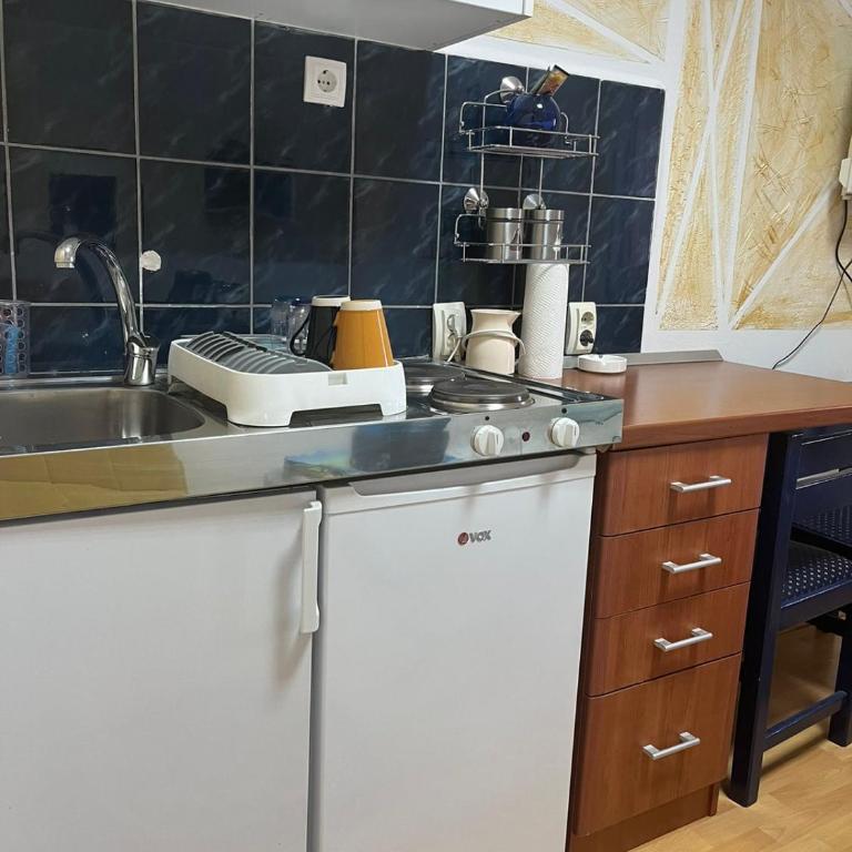 Apartman Perper - Apartman sa 1 Spavaćom Sobom - 16