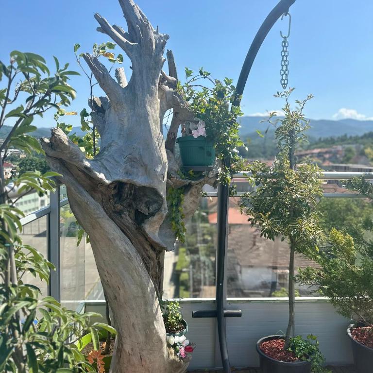 308 Elegant - Apartman sa 1 Spavaćom Sobom - 15