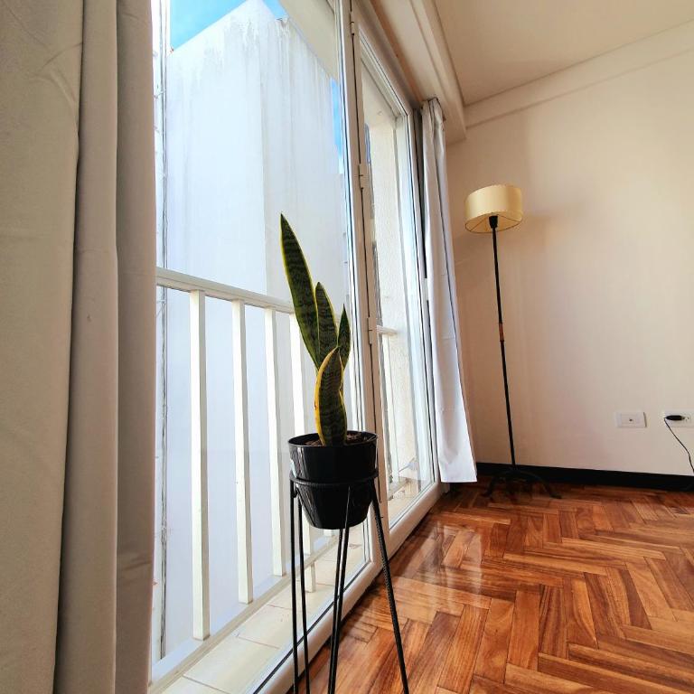 Plaza Colon Studio - One-Bedroom Apartment - 5