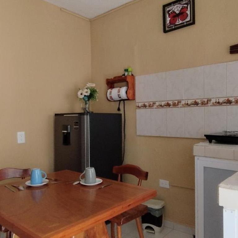 Lala - Depto cerca del Juzgado Familiar - One-Bedroom Apartment - 5