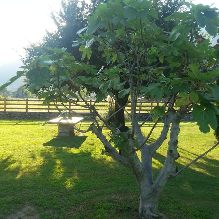 Villa Giardino Ulivo - Villa con Piscina Privata - 14