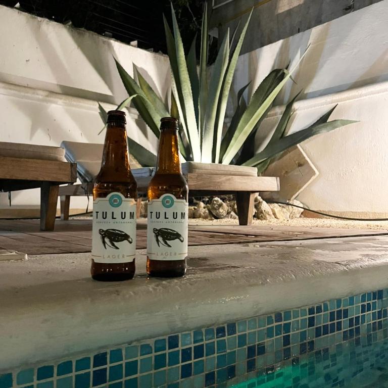 Gorgeous Villa in Aldea Zama with beach club access - Villa con piscina privada - 47