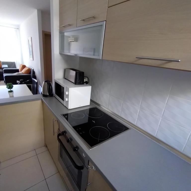 Becici Sunset Apartment - Two-Bedroom Apartment - 8
