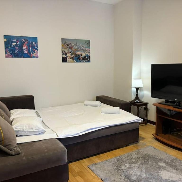 Belgrade Center Apartment Studio - Apartman sa 1 Spavaćom Sobom - 9