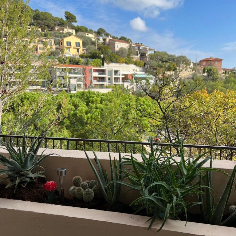 EZE Roc Monaco & Concierge - Appartement 1 Chambre - 54
