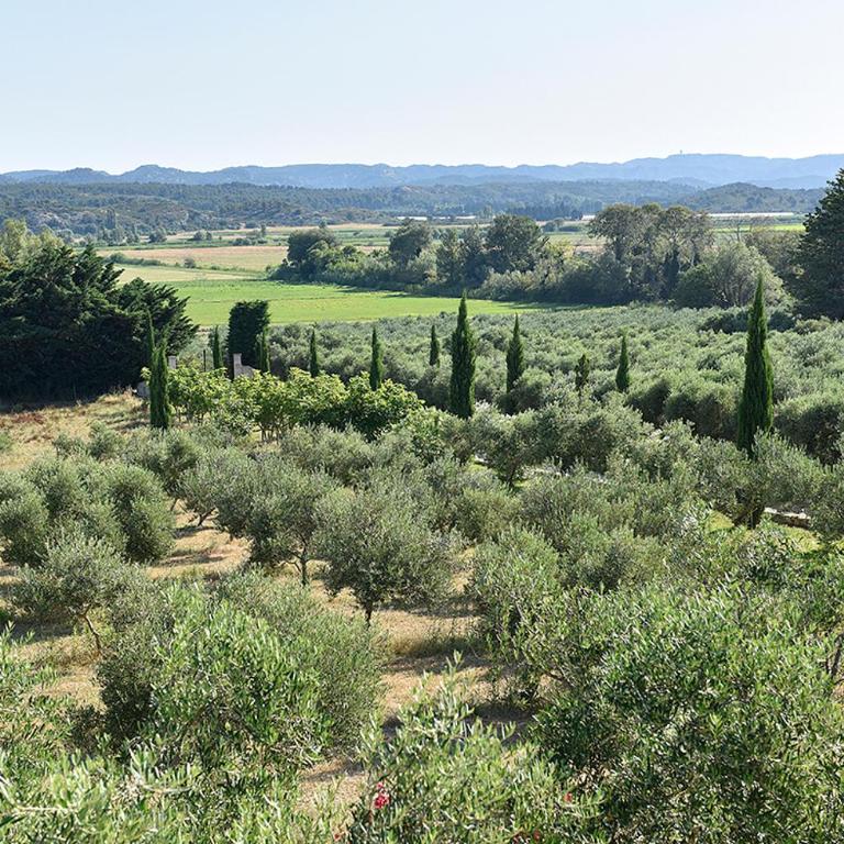 Le Mazet des Oliviers - Villa mit 3 Schlafzimmern - 42
