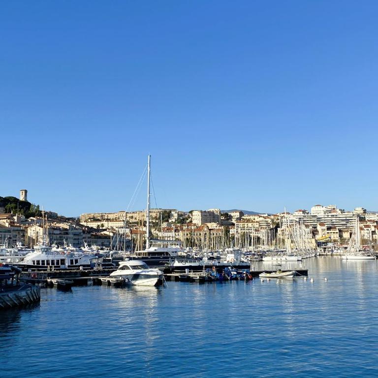 Luxury Cannes - Appartement Deluxe - 10