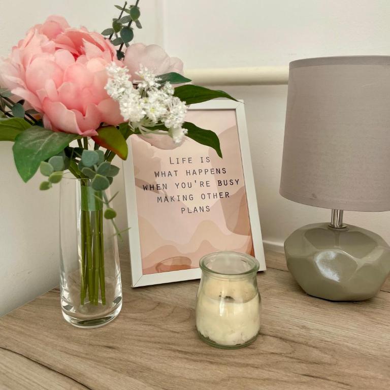 Alma Vracar - Apartman sa 1 Spavaćom Sobom - 60