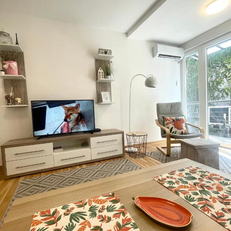 Alma Vracar - Apartman sa 1 Spavaćom Sobom - 62