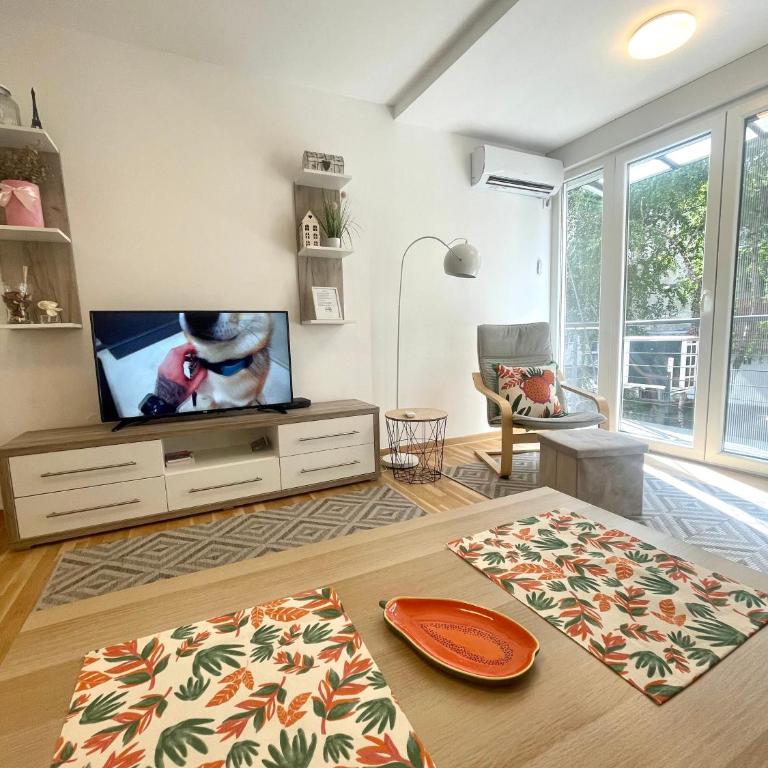 Alma Vracar - Apartman sa 1 Spavaćom Sobom - 5