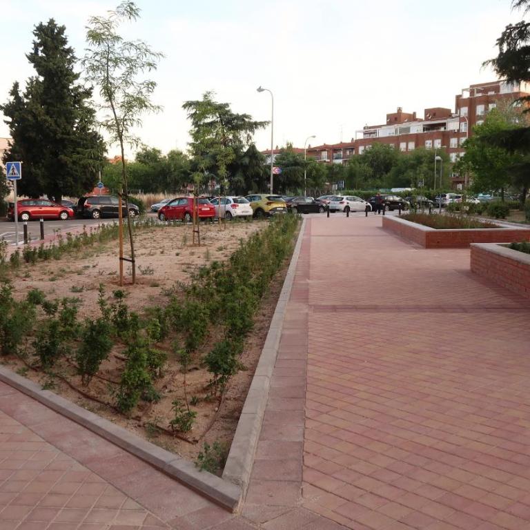 AMA MADRID Metropolitano 17 - Estudio - 13