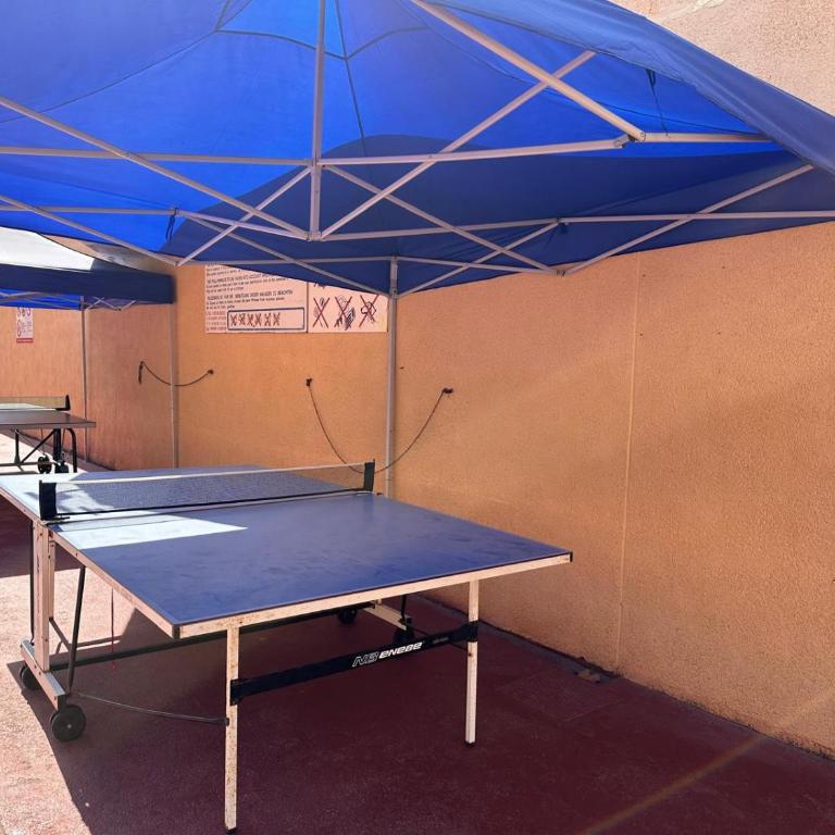 Apolo 7 2D - Apartamento de 2 dormitorios con terraza - 25