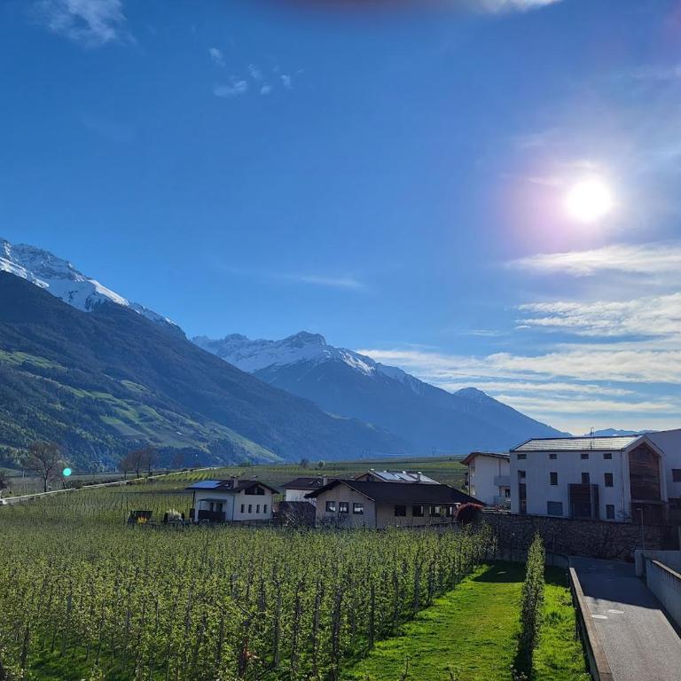 Großschlipfhof - Appartamento - 14