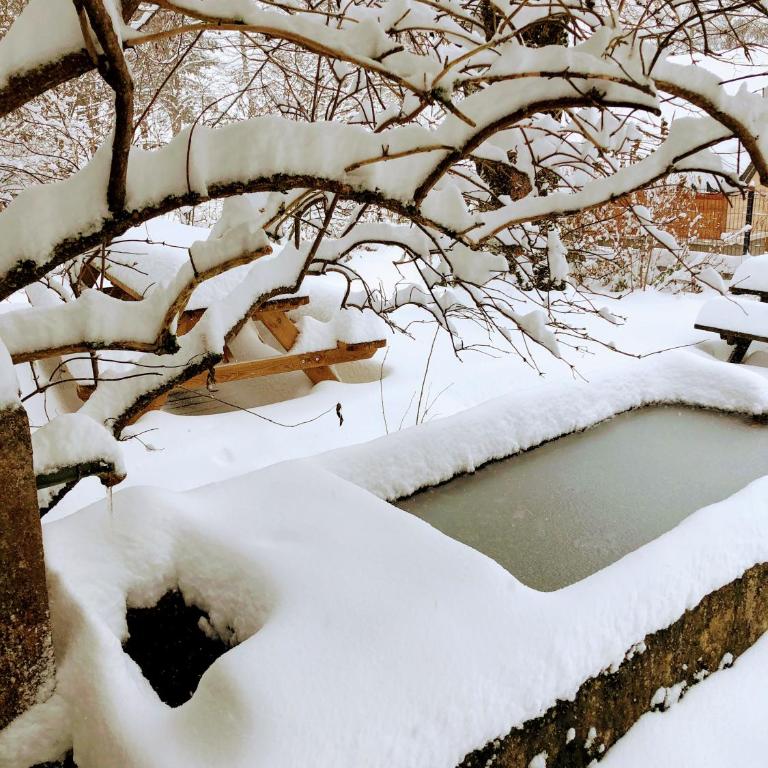 Ferme des deux Frères, Autrans, Vercors - Maison 5 Chambres - 93