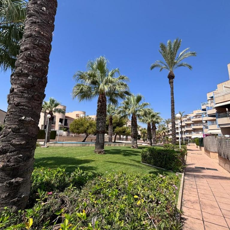 Modern penthouse with sea view Cabo Roig - Apartamento de 2 dormitorios - 28