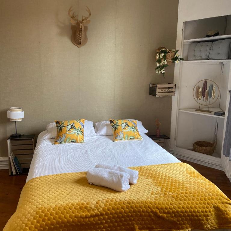 LE BOTANICA Bel appartement situé à 5 min de la gare d'Angers - Appartement 2 Chambres - 6