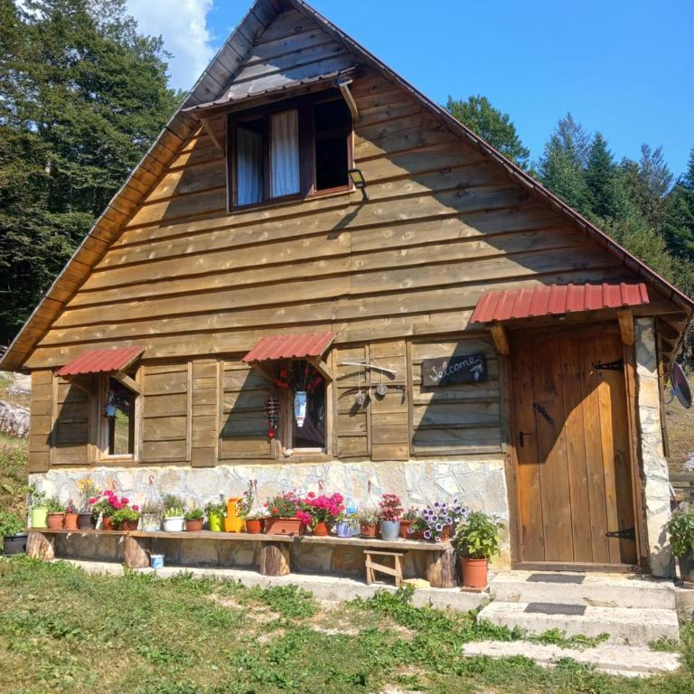 Dulović - KATUN POTOCI - Standardna Četvorokrevetna Soba - 1