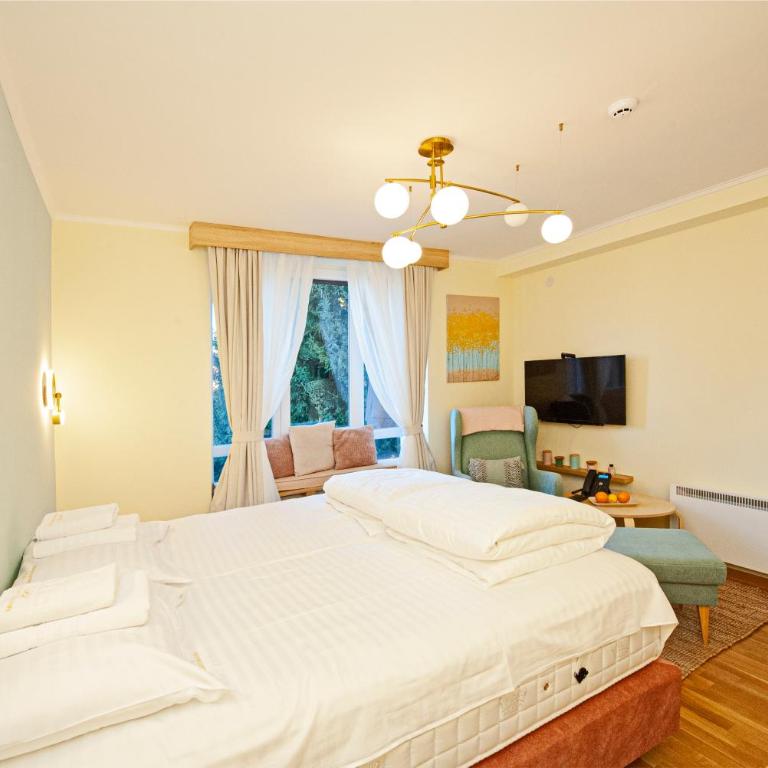 Cozy Lodge Kopaonik - Apartman sa 1 Spavaćom Sobom - 11