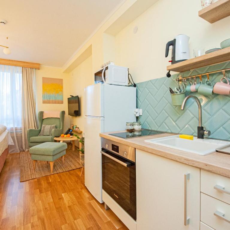Cozy Lodge Kopaonik - Apartman sa 1 Spavaćom Sobom - 12