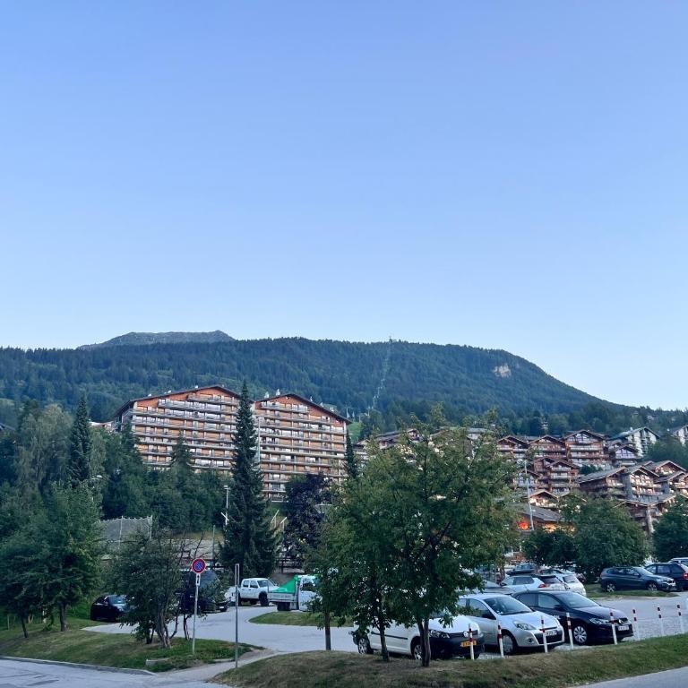 Vincenzo appart, Studio Confortable à Nendaz, accès Direct au Télécabine de Tracouet et Parking Souterrain Inclus - One-Bedroom Apartment - 46