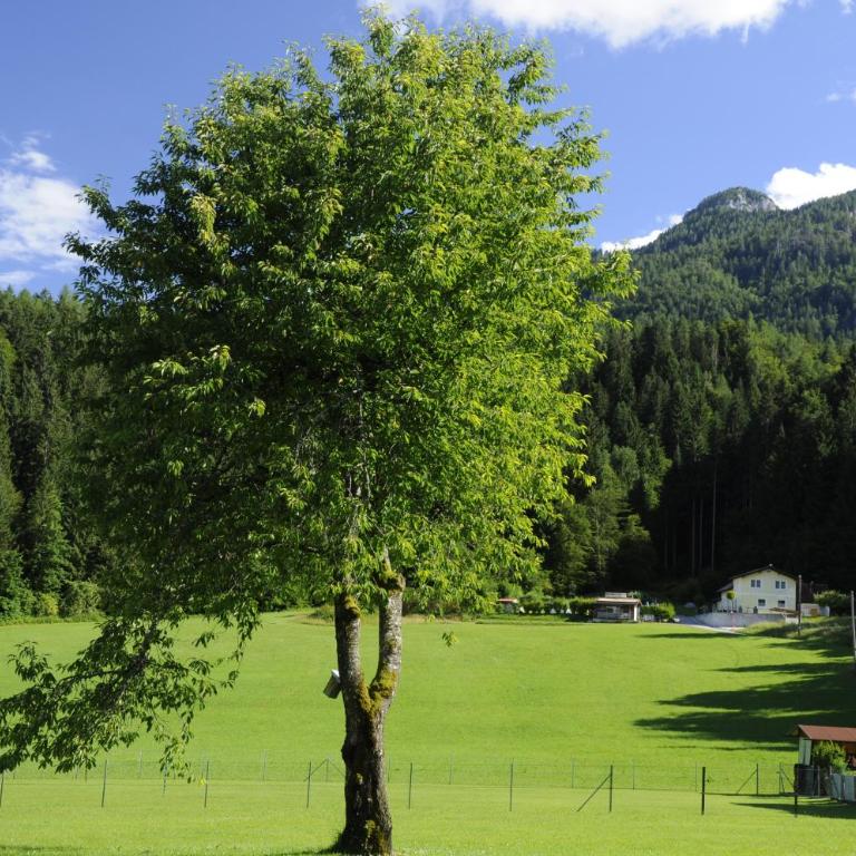 das stille Paradies - Apartment mit 2 Schlafzimmern - 20