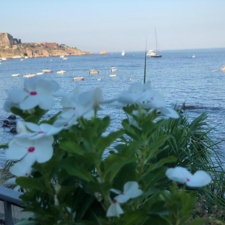 Home & Sea - Casa con 2 Camere da Letto - 14