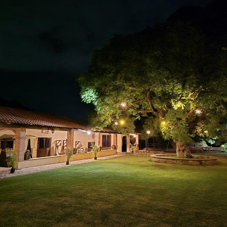 Hacienda Maria Eugenio - Junior Suite - 3