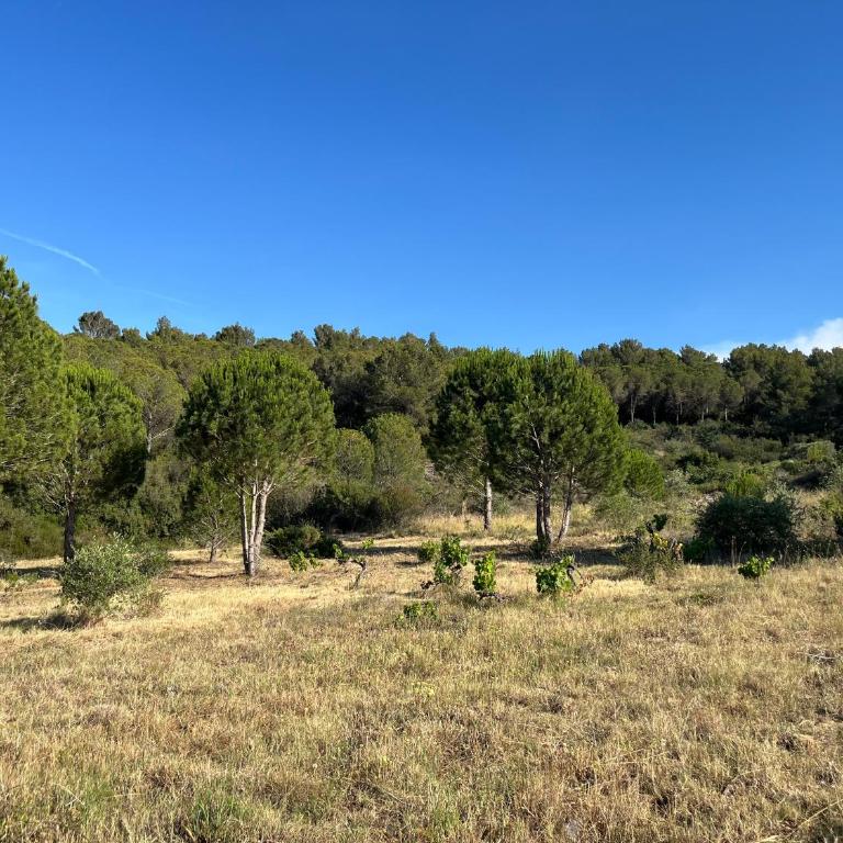 Maison quartier la Campane Narbonne - Two-Bedroom Villa - 26