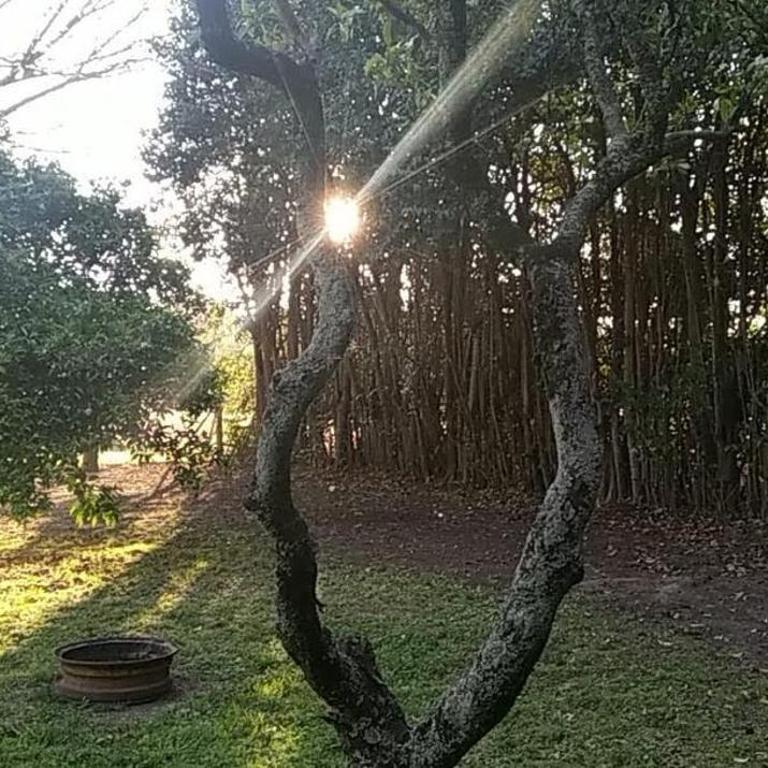 Quinta El Nogal - Casa de 2 dormitorios - 7