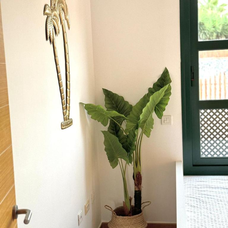 Take It EaSea - Apartamento de 3 dormitorios - 30