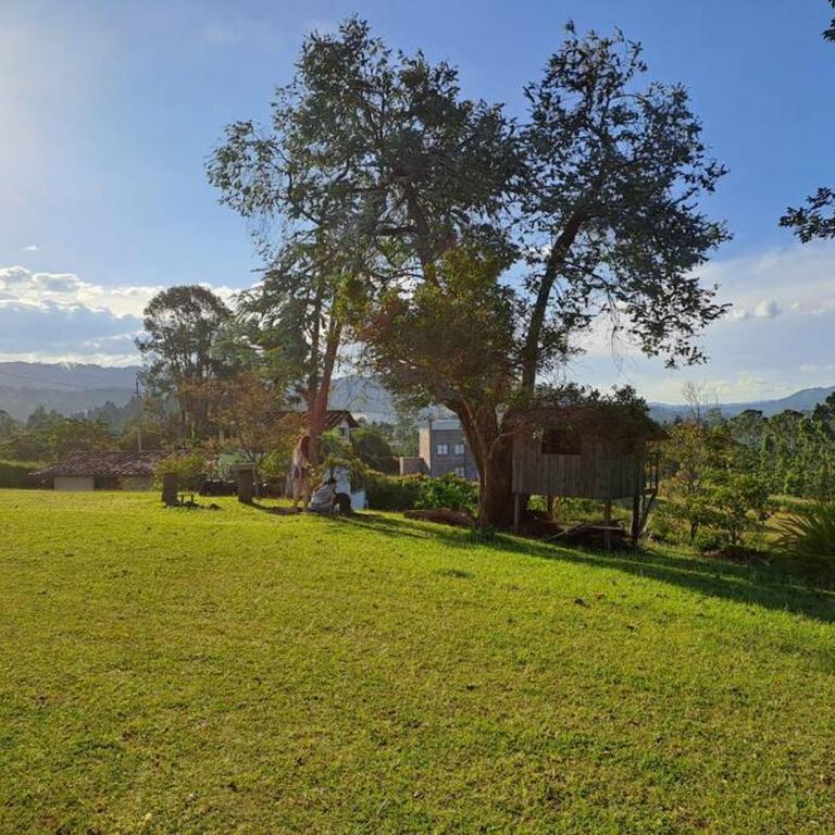 Finca las Flores - Guarne Antioquia - Chalet - 16