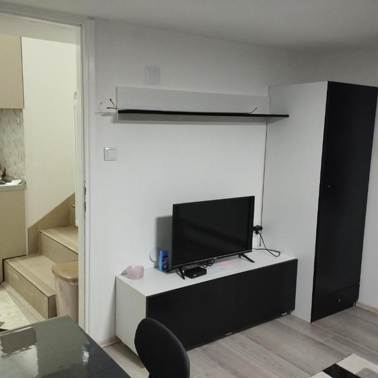 Apartmani Mladenovic - Apartman - Prizemlje - 9