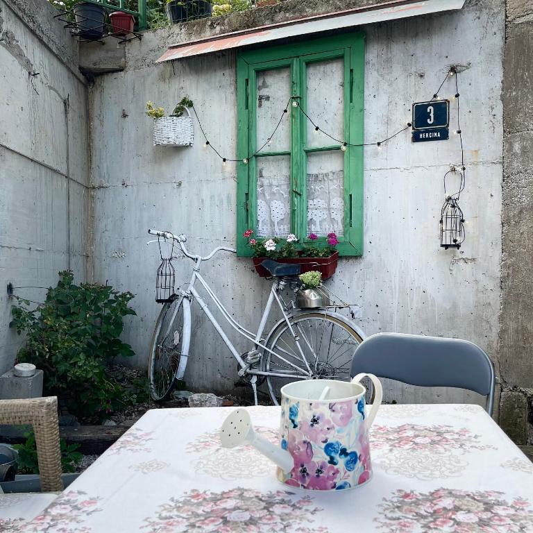 studio Zvekir - Apartman sa 1 Spavaćom Sobom - 14