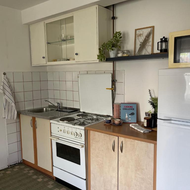 studio Zvekir - Apartman sa 1 Spavaćom Sobom - 8