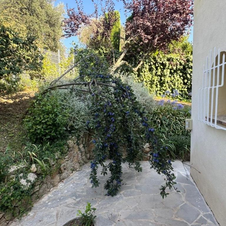 Côte d'Azur villa d'architecture méditerranéenne Vence entre mer et montagne - Villa - 47