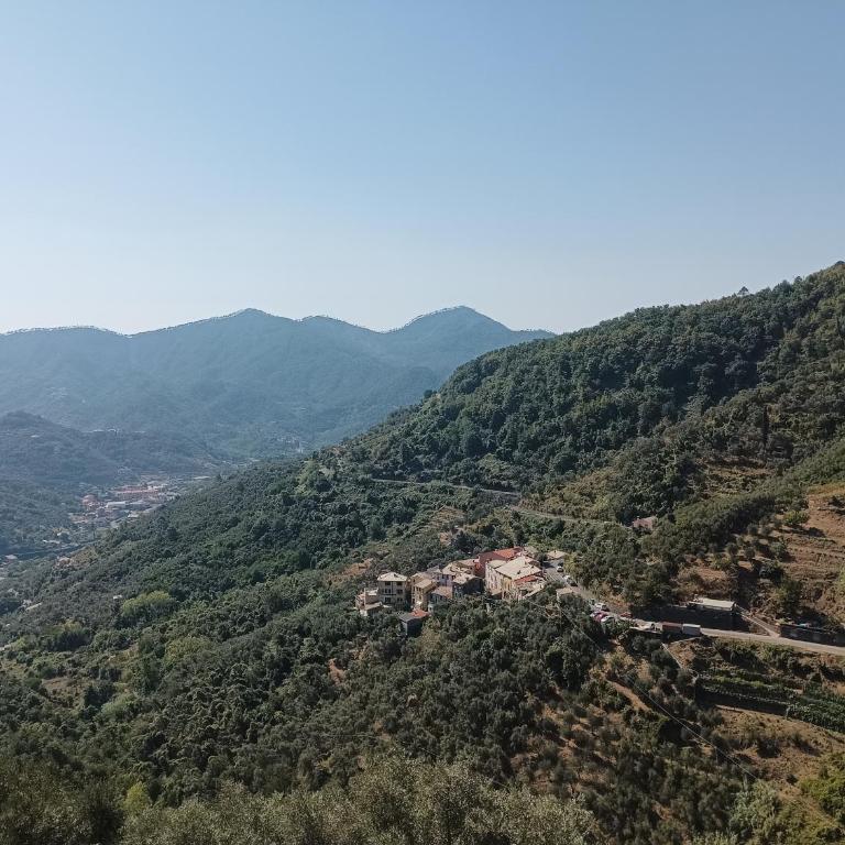 CASA LORENZO SULLE COLLINE DI LEVANTO e VICINO ALLE CINQUETERRE LT-0620 - Appartamento - 1