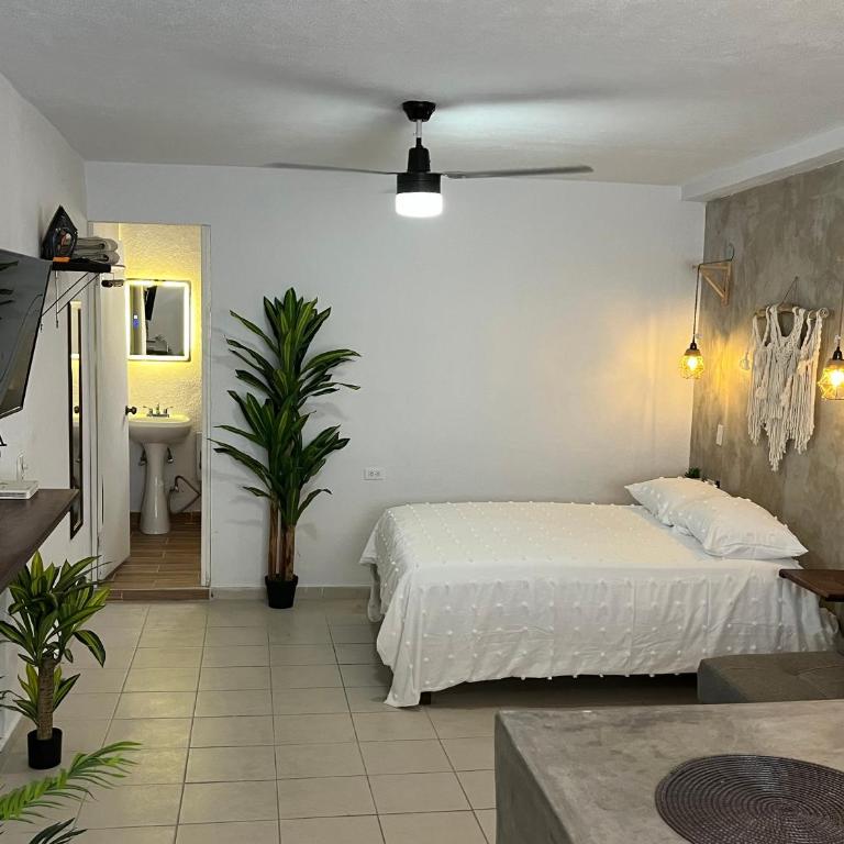 Estudio centro histórico #7 - One-Bedroom Apartment - 3