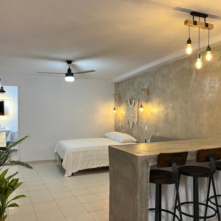 Estudio centro histórico #7 - One-Bedroom Apartment - 11