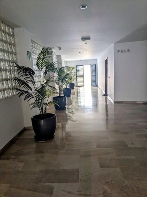 Dúplex Chiclana Centro con Terraza y Parking By Chiclana Dreams - Apartamento de 2 dormitorios - 20