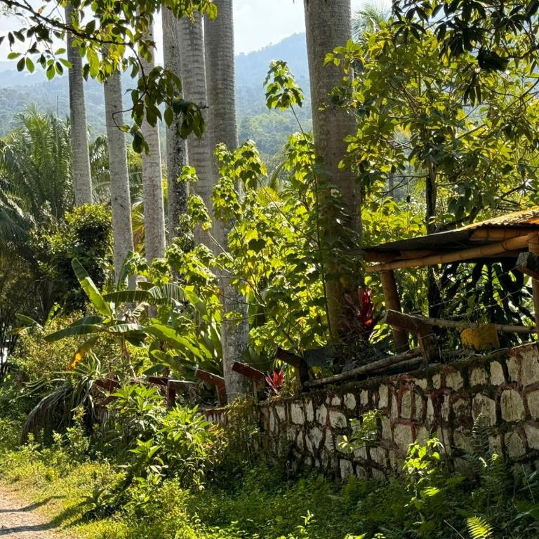 Finca Villa Rosita-Tu Paraíso Campestre cerca de Bogotá - Three-Bedroom House - 56