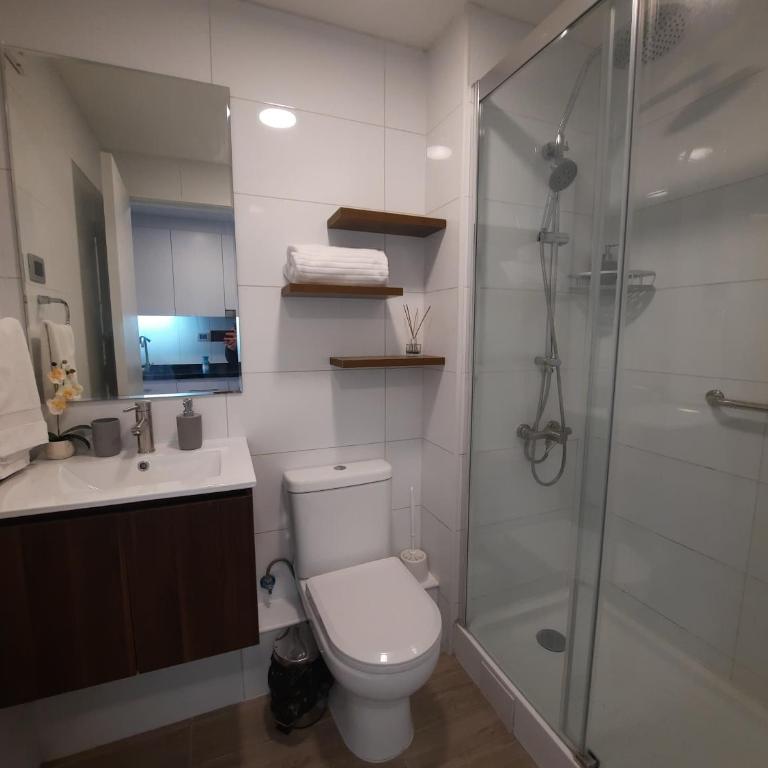 Departamento en Valdivia. - Apartamento de 1 dormitorio - 15