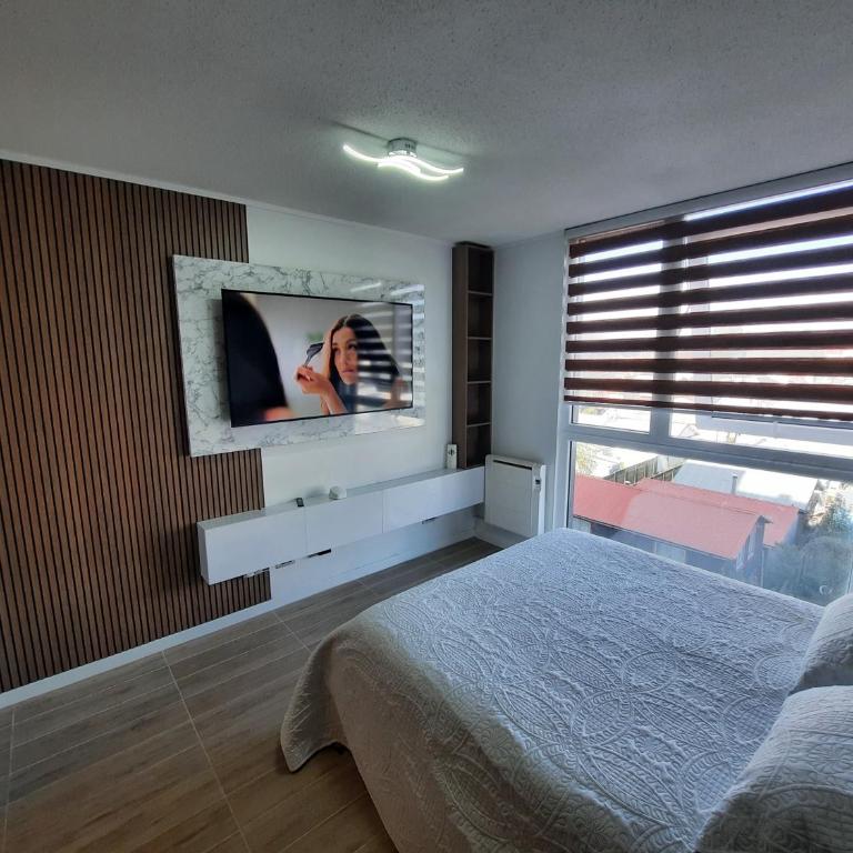 Departamento en Valdivia. - Apartamento de 1 dormitorio - 8