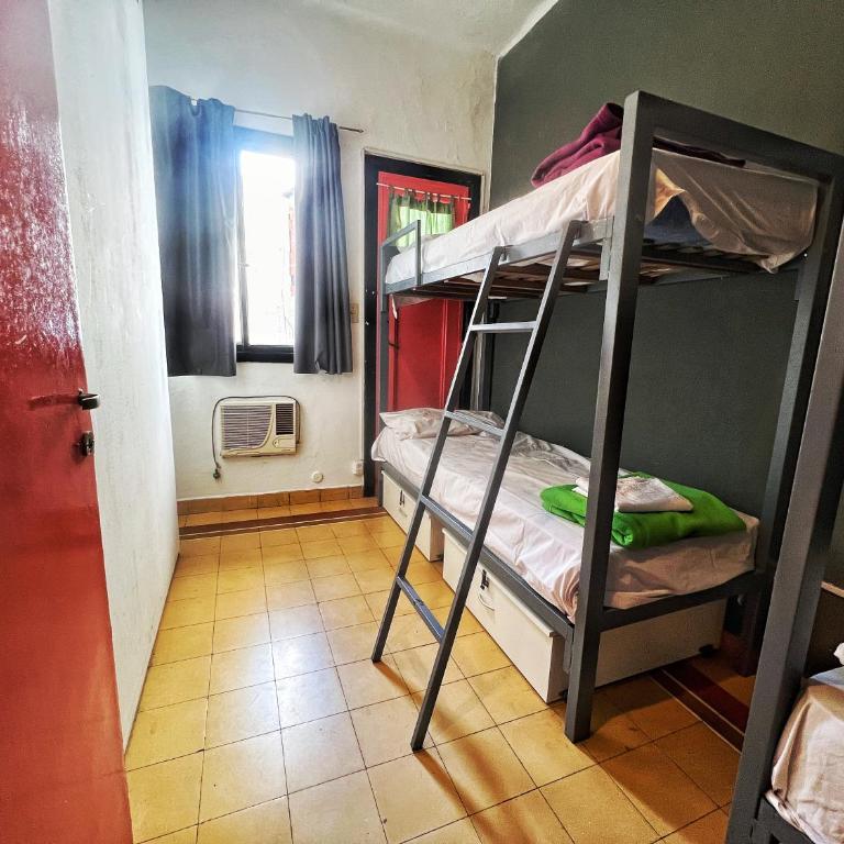 Lacandona Hostel - Cama en habitación compartida mixta de 4 camas - 3